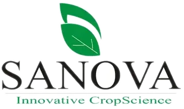 Logo Sanova Innovative CropScience